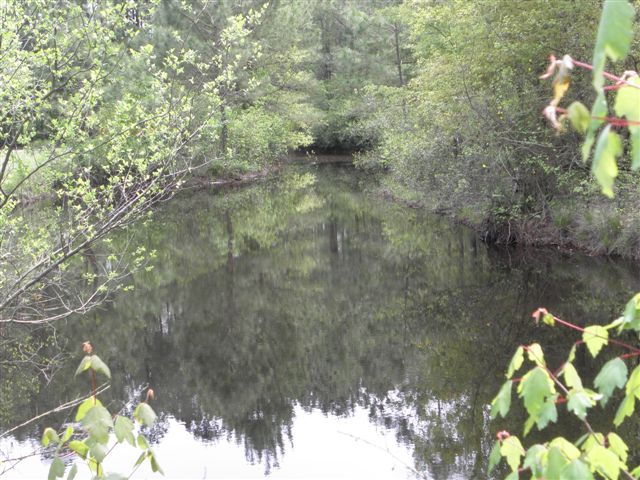 slideshow